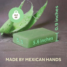 Load image into Gallery viewer, T.TAiO Esponjabon Aloe Vera Soap Sponge For Face & Body