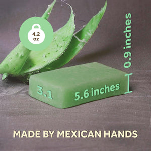 T.TAiO Esponjabon Aloe Vera Soap Sponge For Face & Body (2 Pack)