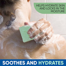 Load image into Gallery viewer, T.TAiO Esponjabon Aloe Vera Soap Sponge For Face &amp; Body
