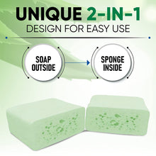 Load image into Gallery viewer, T.TAiO Esponjabon Aloe Vera Soap Sponge For Face &amp; Body
