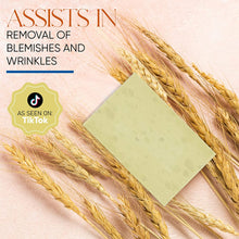 Load image into Gallery viewer, T.TAiO Esponjabon Oatmeal Soap Sponge For Face &amp; Body
